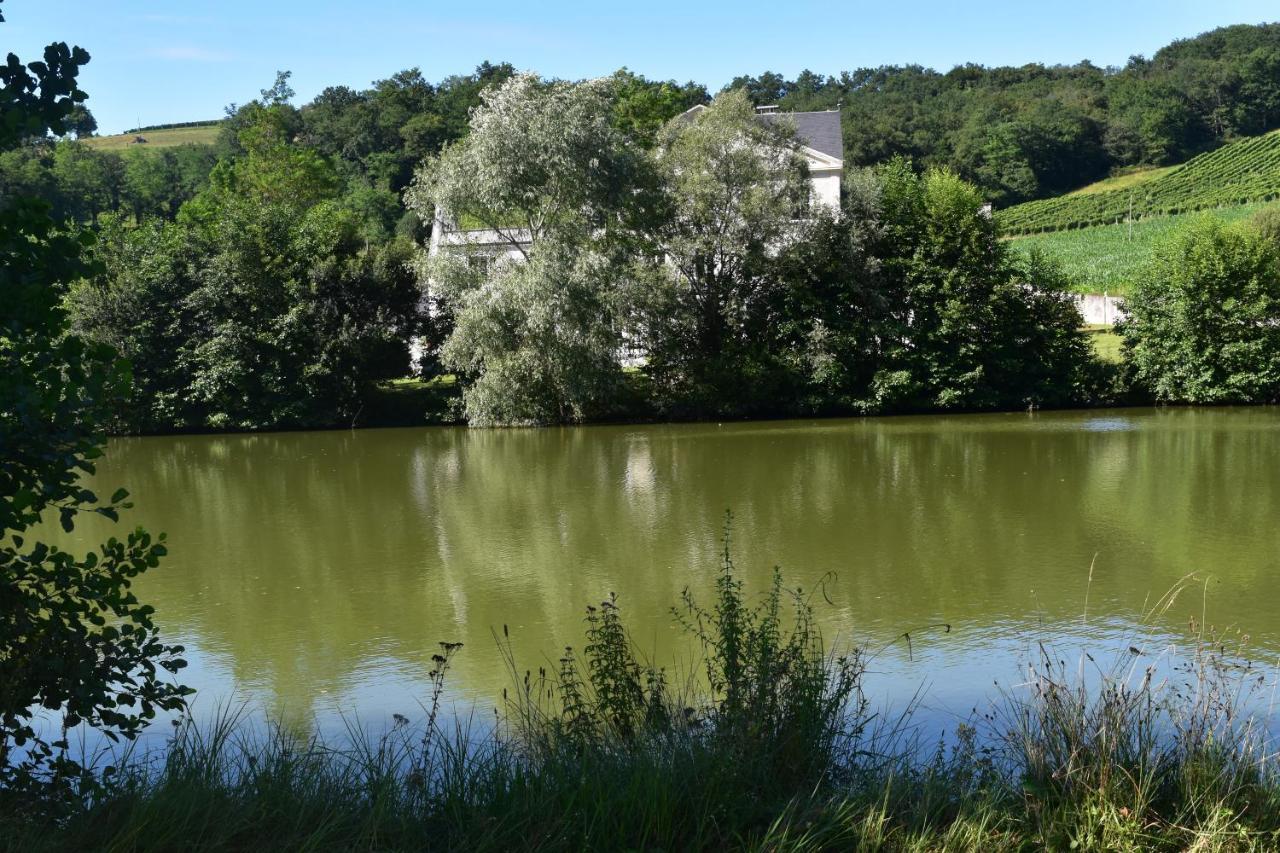 Chateau Roquehort Avec Ev Recharge Point 22Kw Monein Esterno foto