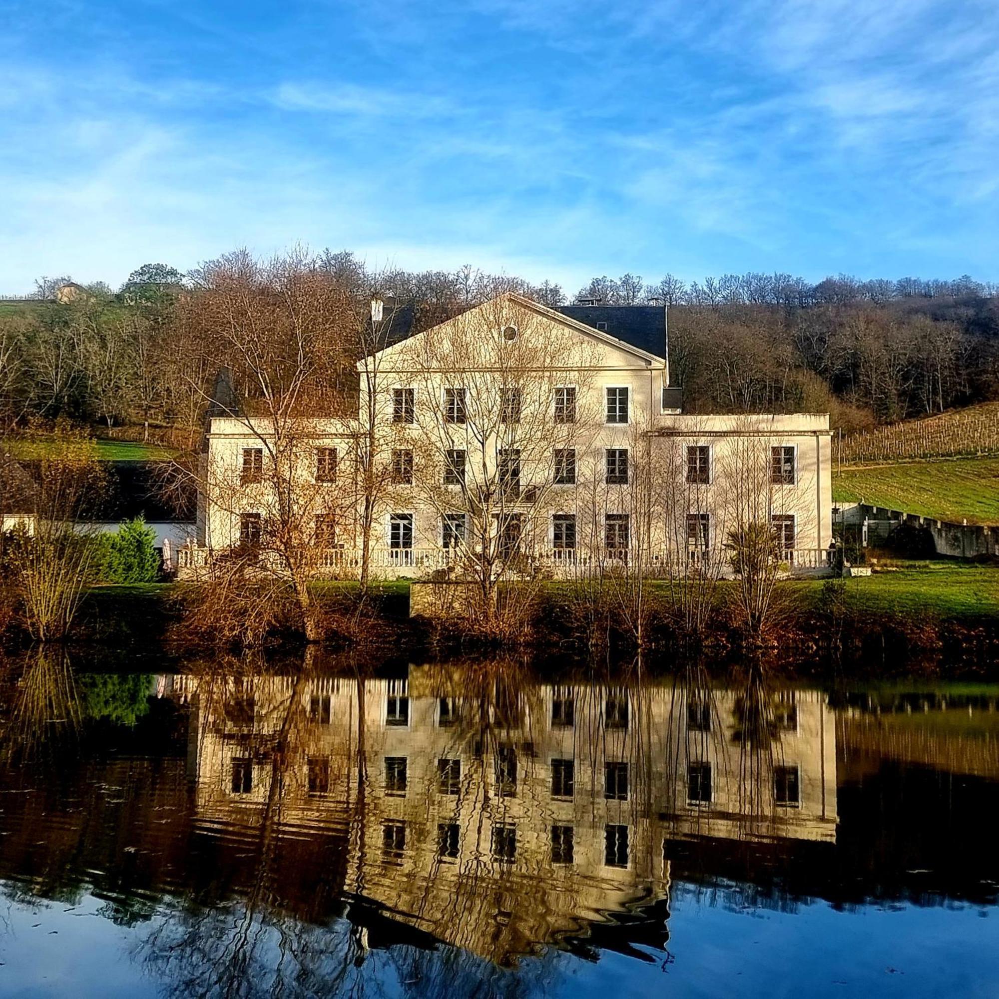 Chateau Roquehort Avec Ev Recharge Point 22Kw Monein Esterno foto